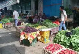 les comptages palestiniens : baisse du chiffre clé des prix en vrac