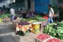 les comptages palestiniens : baisse du chiffre clé des prix en vrac