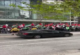 Palestinian communities in Canada organize mass stand-ins in solidarity with Sheikh Jarrah neighborhood