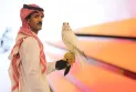 Saudi Arabia: The most expensive falcon in the world sold for half a million dollars