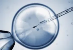 11 Myths Related to Fertility in Both Men and Women