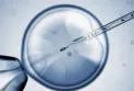 11 Myths Related to Fertility in Both Men and Women