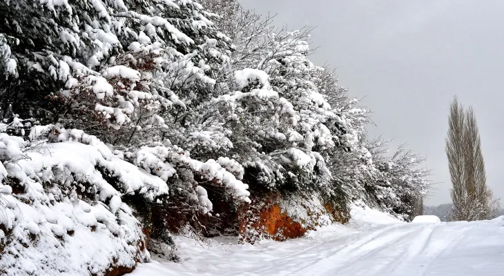 The Canadian Ministry of Environment warns of a snowstorm in southern Ontario