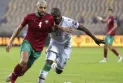 Tottenham coach seeks to conclude a Moroccan deal