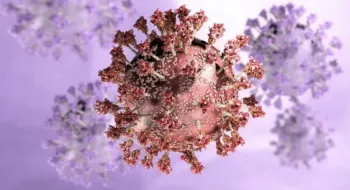 Breaking news: BioNTech and Pfizer begin clinical trial on a vaccine against Omicron