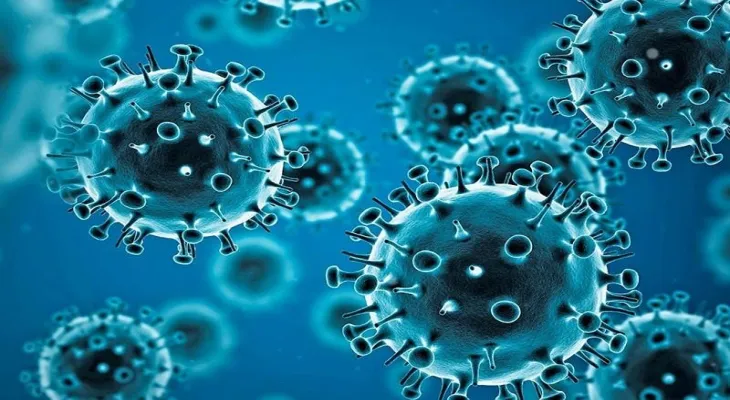 Does coronavirus affect male fertility? Russian scientists explain