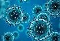 Does coronavirus affect male fertility? Russian scientists explain