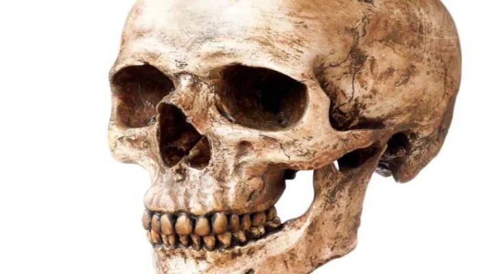 France, new discoveries prove that Homo sapiens reached Europe thousands of years ago