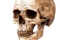 France, new discoveries prove that Homo sapiens reached Europe thousands of years ago
