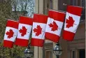 Does the Canadian immigration office practice "racial discrimination" when reviewing immigrant files?