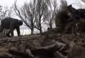 Watch: Moment of targeting Ukrainian minister and journalists with shells