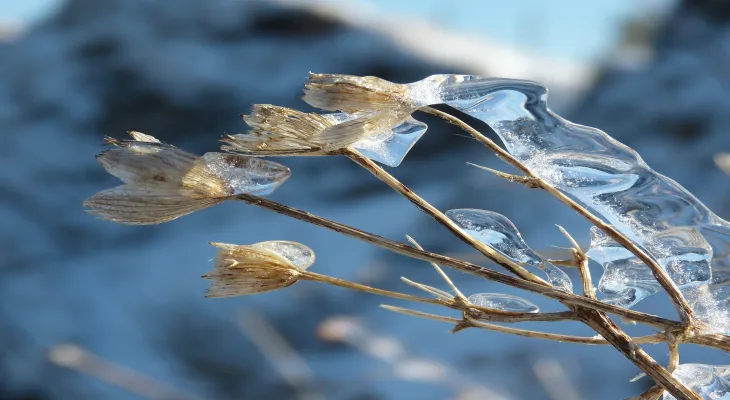 Freezing rain will hit Toronto tomorrow Wednesday, with warnings for drivers on the roads