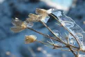 Freezing rain will hit Toronto tomorrow Wednesday, with warnings for drivers on the roads
