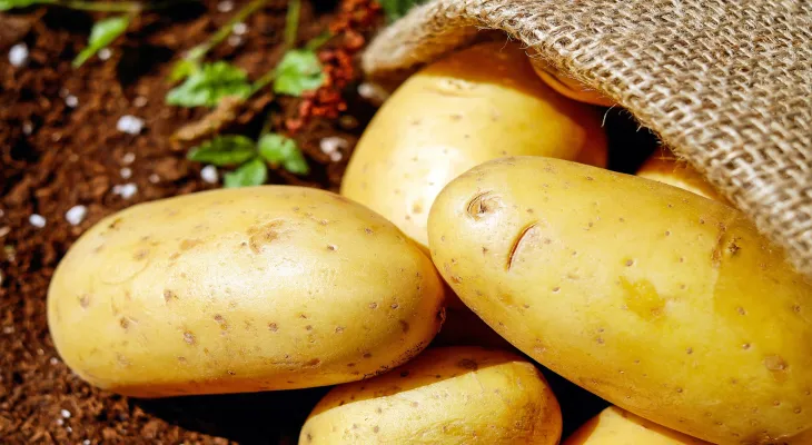 Canada resumes exports of Prince Edward Island potatoes to the United States after small bumps in the potatoes halted this trade