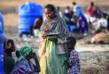 Ethnic cleansing campaign under security sponsorship in Tigray
