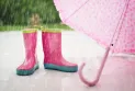 Issuing a special weather statement in Ottawa for the next two days, with expectations of heavy rainfall.