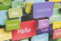 What is the appropriate age to teach children foreign languages?