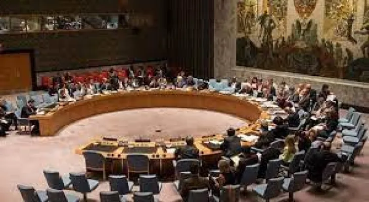 Canadian Ambassador: The United Nations Security Council is "disabled"