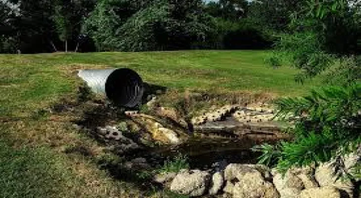 Nature in Canada Facing Sewage Water