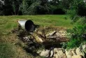 Nature in Canada Facing Sewage Water