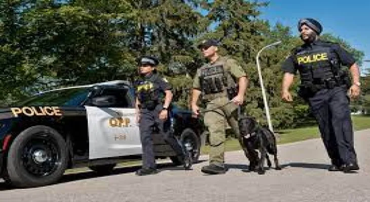 Ontario: Unsafe load caused material damage on Highway 11