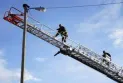Rescuing a cat stuck on a pole due to floods