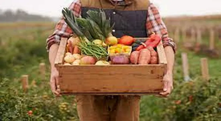 Ontario: A company that cultivates fresh produce with the aim of helping low-income families