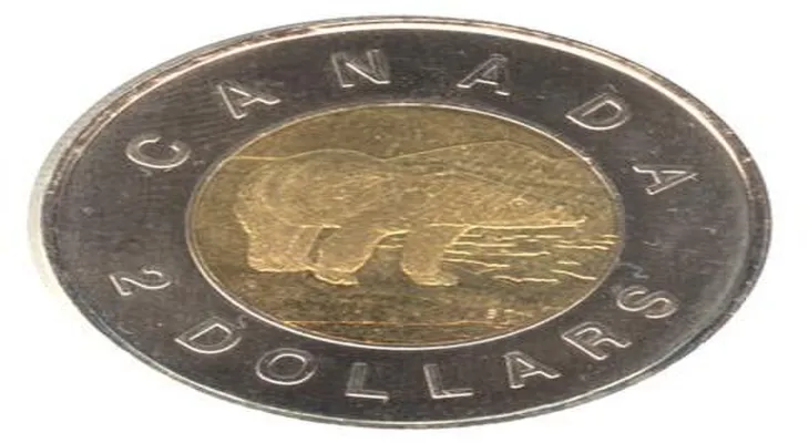Ontario: Counterfeit coins are being circulated in the market