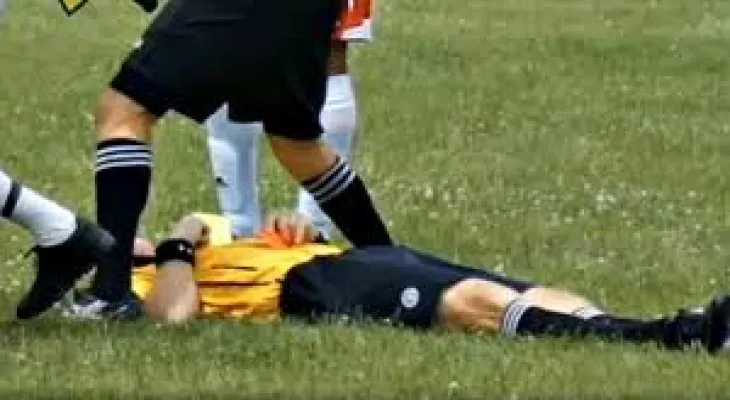 He did not like the young referee's decision, so he came down from the stands to punch him on the head.