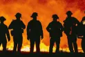 Muskoka: Fire hazard rating at a high level