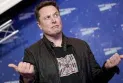 Fake account data disrupts the "Elon Musk" deal