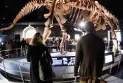 12 million US dollars is the value of a dinosaur skeleton at auction