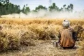 Big challenges ahead for Canadian farmers as the 2022 crops will be the most expensive in history