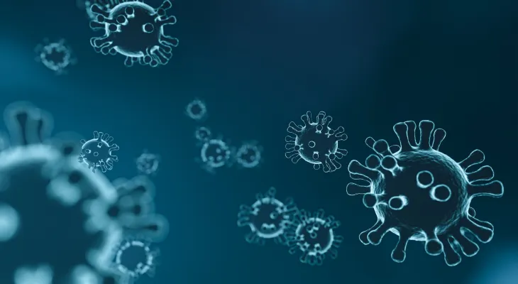 The Public Health Agency of Canada collaborates with the US Centers for Monkeypox surveillance