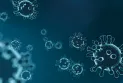 The Public Health Agency of Canada collaborates with the US Centers for Monkeypox surveillance
