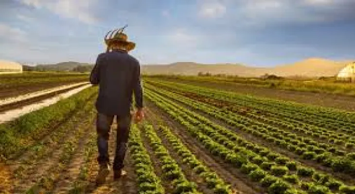 Farmers face the challenge of high prices and the epidemic
