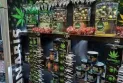 Ontario: Three Parties and Three Strategies on Legalizing the Cannabis Trade