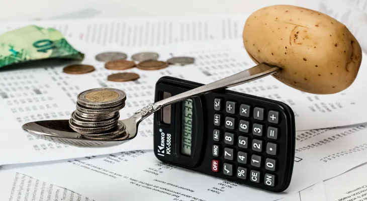 A strategy employed by manufacturers to combat inflation at the expense of the consumer