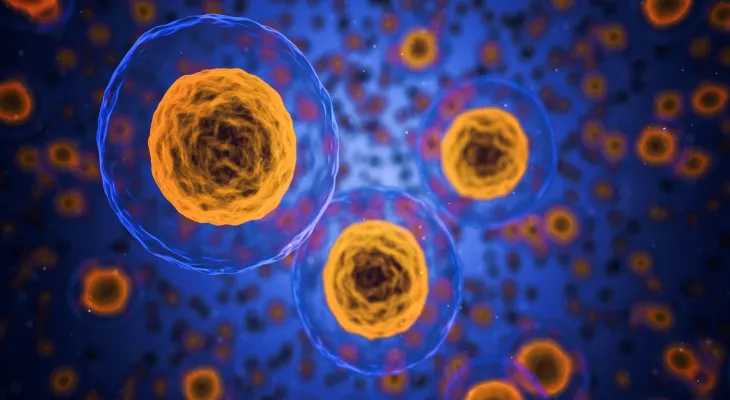 Two new suspected cases of monkeypox in Toronto