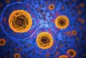 Two new suspected cases of monkeypox in Toronto