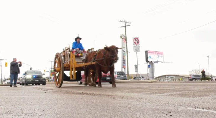 A man from Manitoba begins the Red River Trail journey to the United States in an ox cart