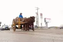 A man from Manitoba begins the Red River Trail journey to the United States in an ox cart