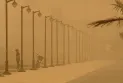 Dust storms worsen in the Middle East with losses in the billions