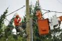 At least 11 dead and more than 48,000 people without electricity so far due to the storm that hit Ontario and Quebec