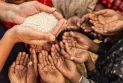 The war in Ukraine and the famine in Africa