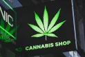 Statements of the Minister of Justice on the topic of decriminalizing drug possession