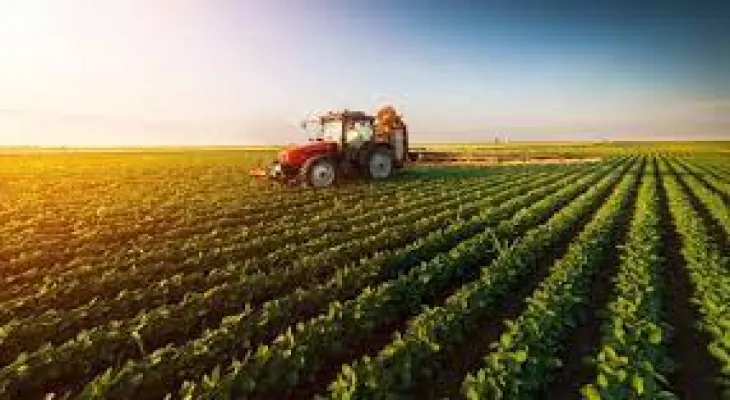 "Prices have risen in everything": Farmers in Essex, Canada feel the impact of fuel costs and inflation