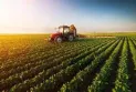 "Prices have risen in everything": Farmers in Essex, Canada feel the impact of fuel costs and inflation