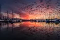 Boat capsizing in Lake Ontario results in two deaths