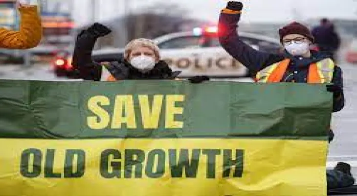 British Columbia: "Save Old Growth" group threatens the government again